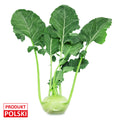 Kalarepa. 4,80 zl/szt.