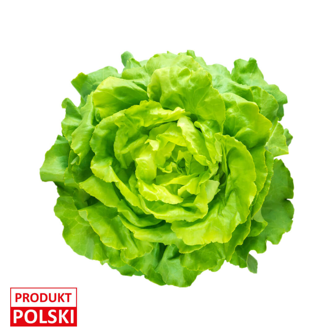 Salata maslowa. 5,80 zl/szt.