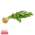 Seler mlody. 6,40 zl/szt.
